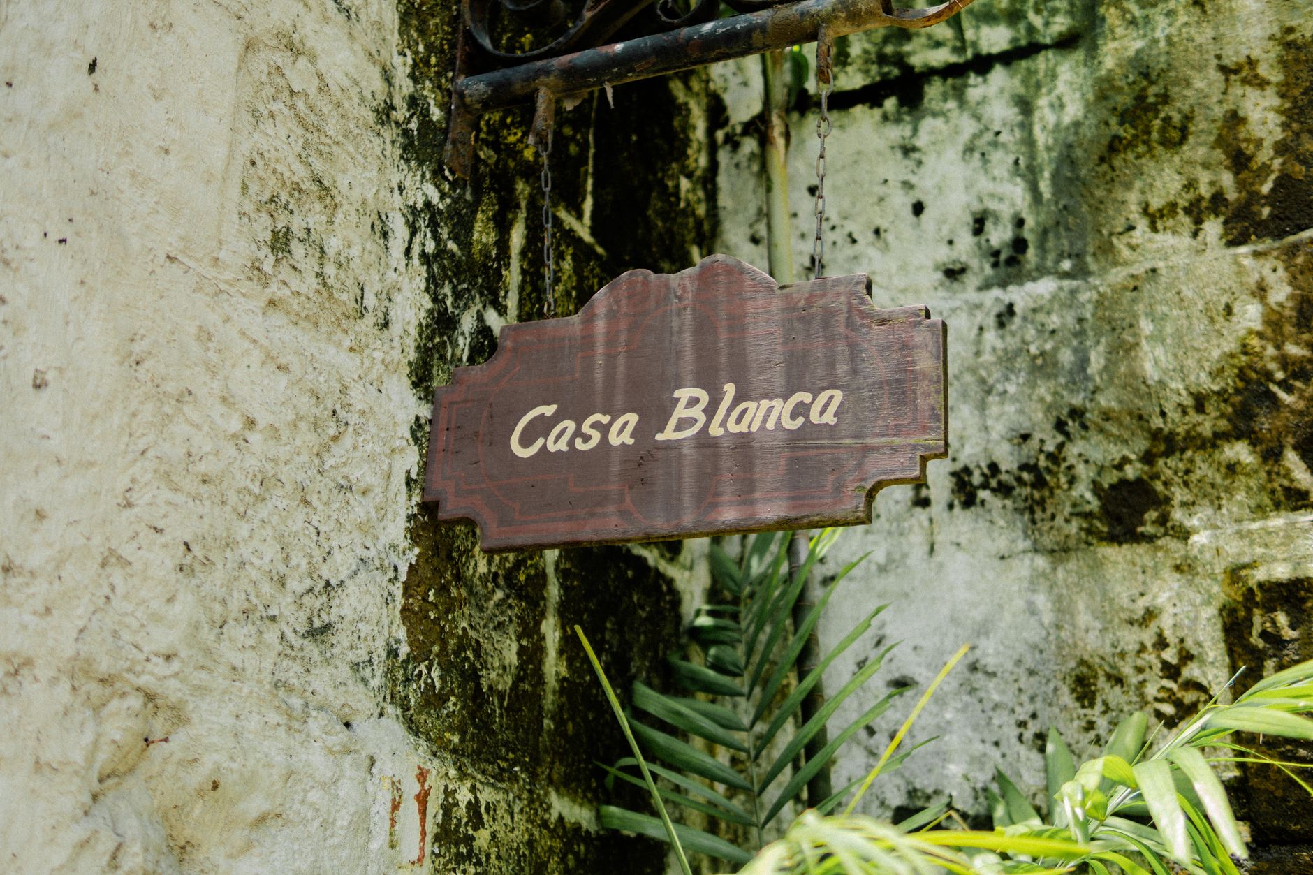 Casa Guedes interior