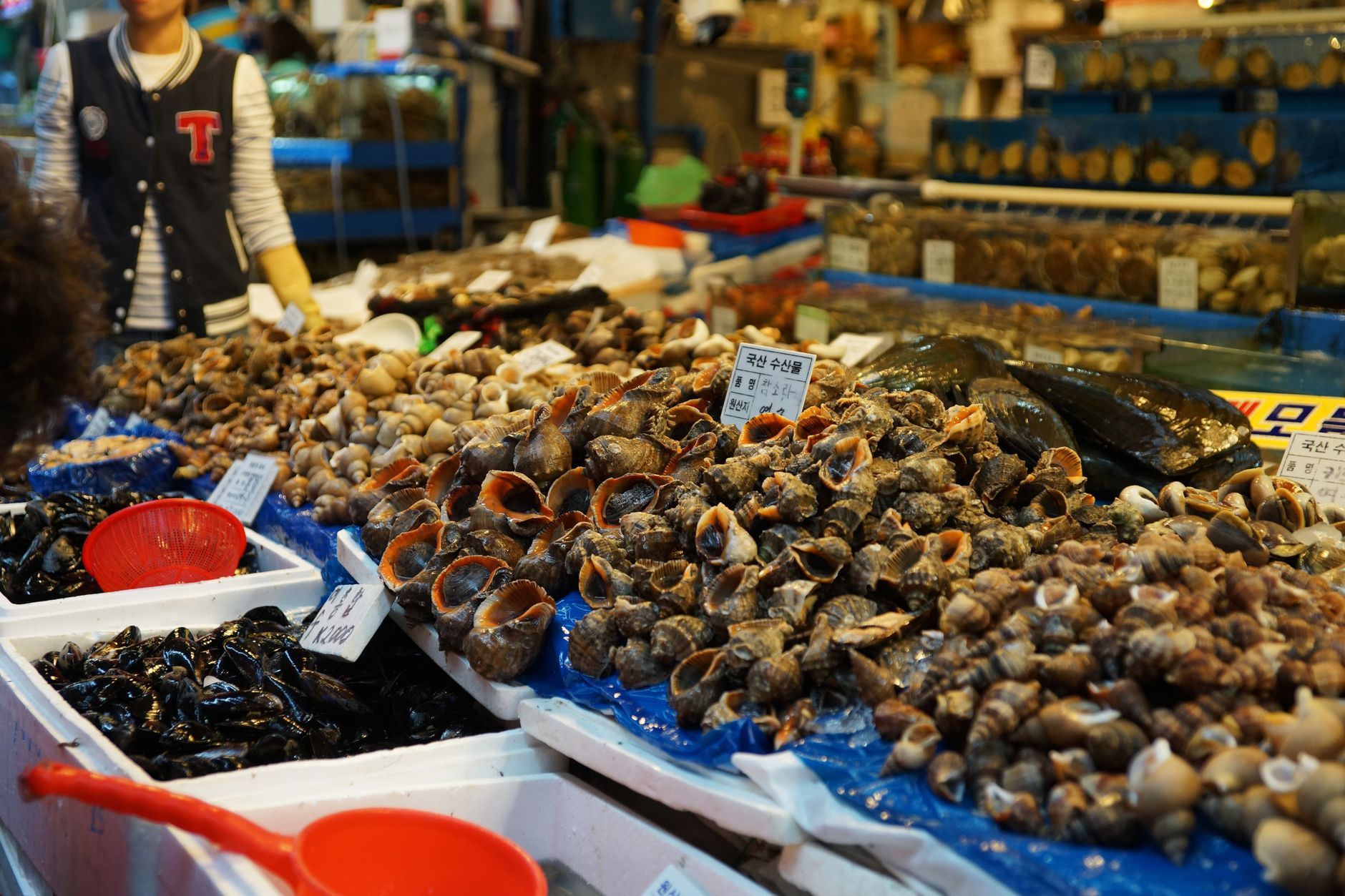 Jagalchi Market