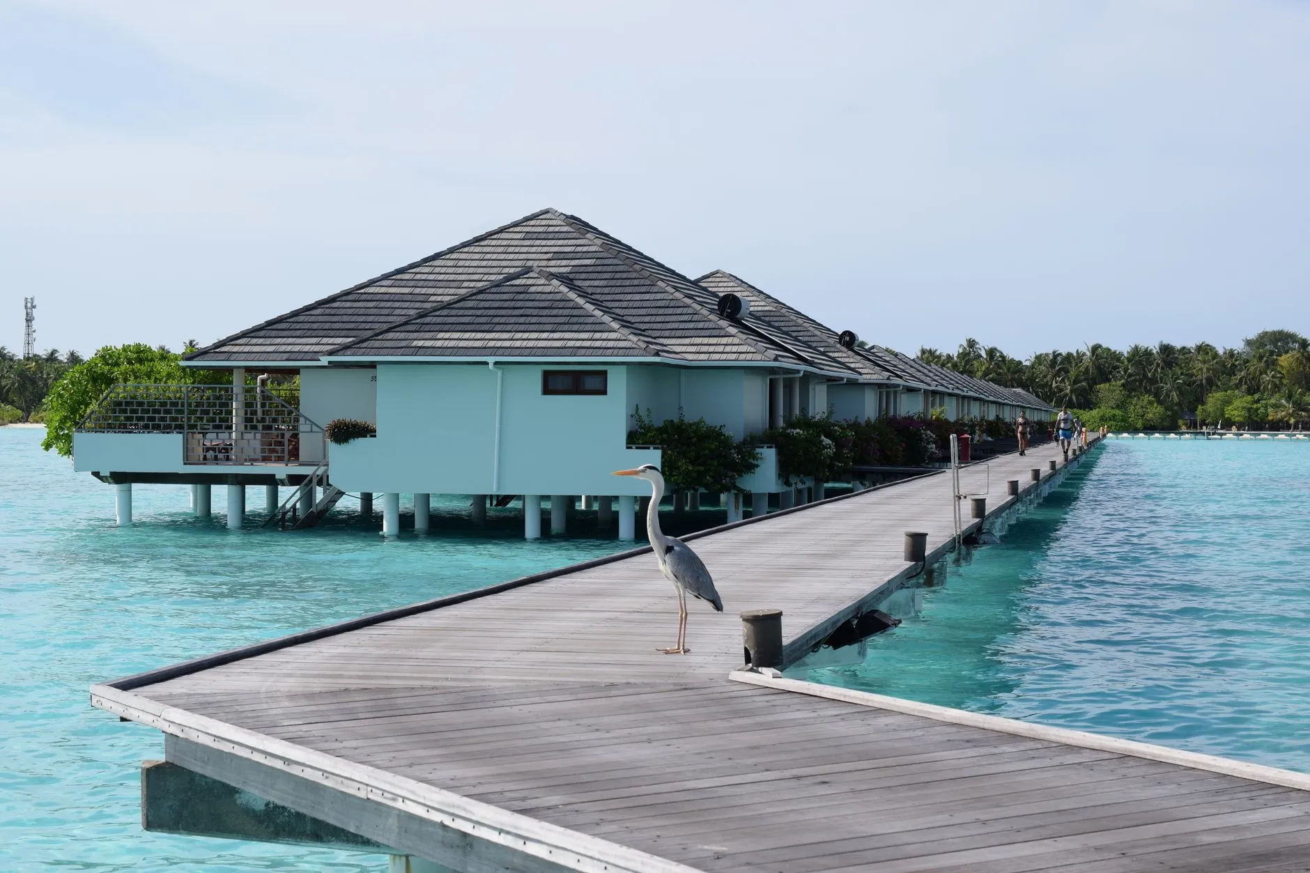 Soneva Fushi interior