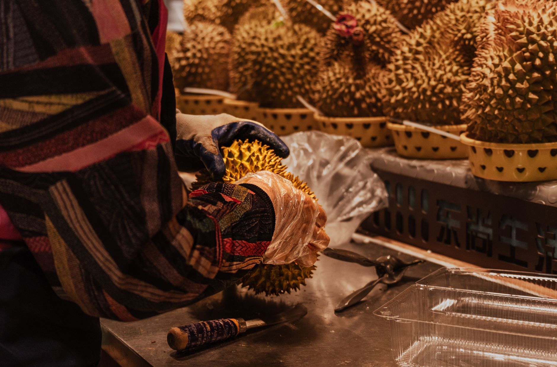 Ucok Durian Polonia Medanese